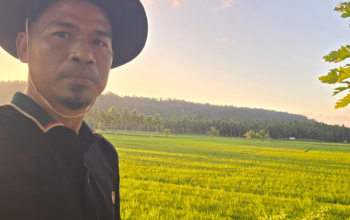 150 Hektare Sawah di Lasalimu Selatan Terancam Gagal Panen, DPRD Buton Desak Respons Pemerintah